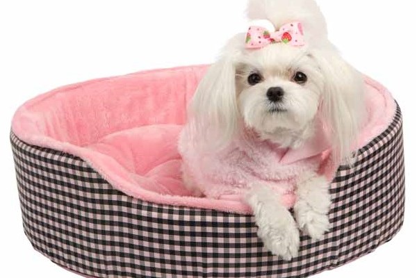 Dog Beds Online