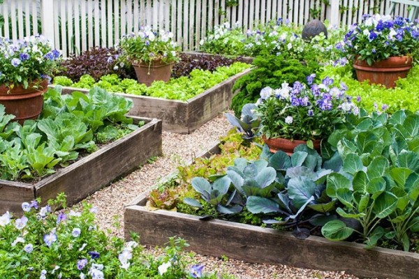 Small Space Gardening