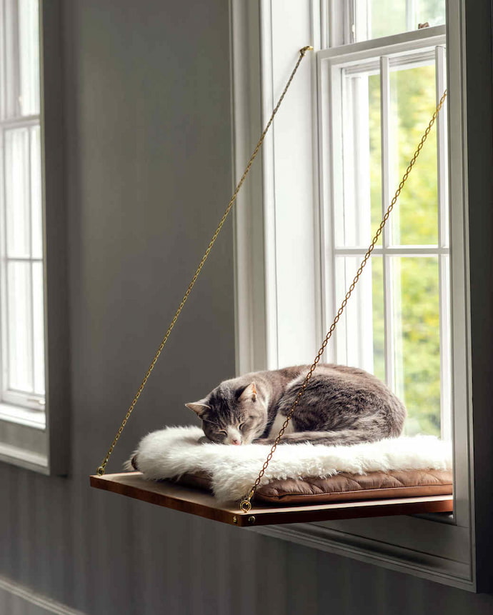 window perch beds