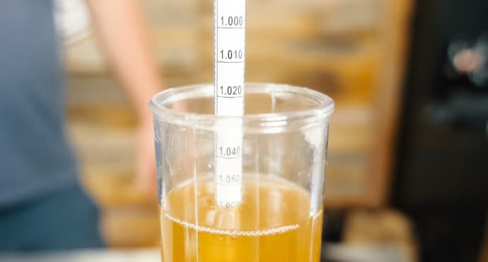 The Purpose of a Hydrometer: A Must-Have Tool for Home Brewers