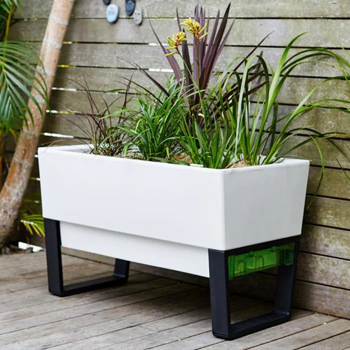 Purpose Meets Convenience: A Comprehensive Guide to Self-Watering Planters